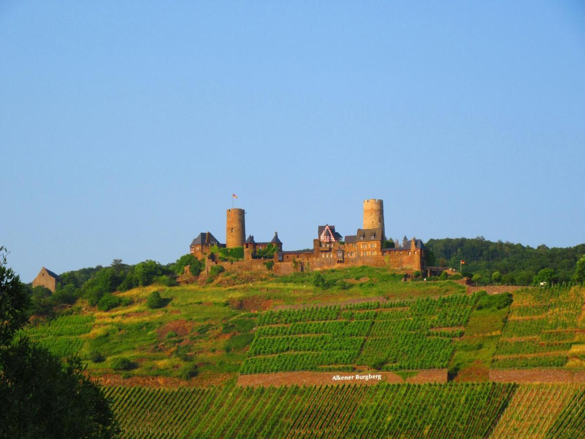 Ferienhaus Leopold Mit Burgblick An Der Mosel Берген Екстер'єр фото